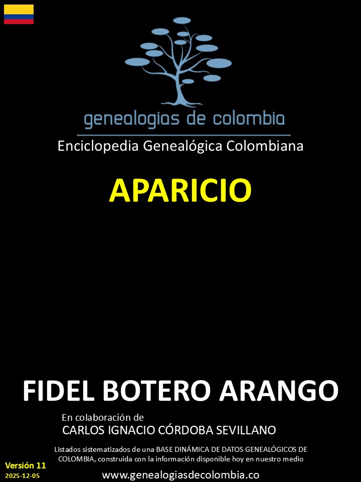 Product Image Description