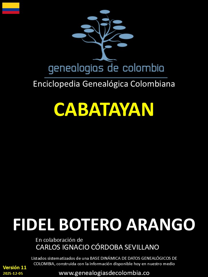 Product Image Description