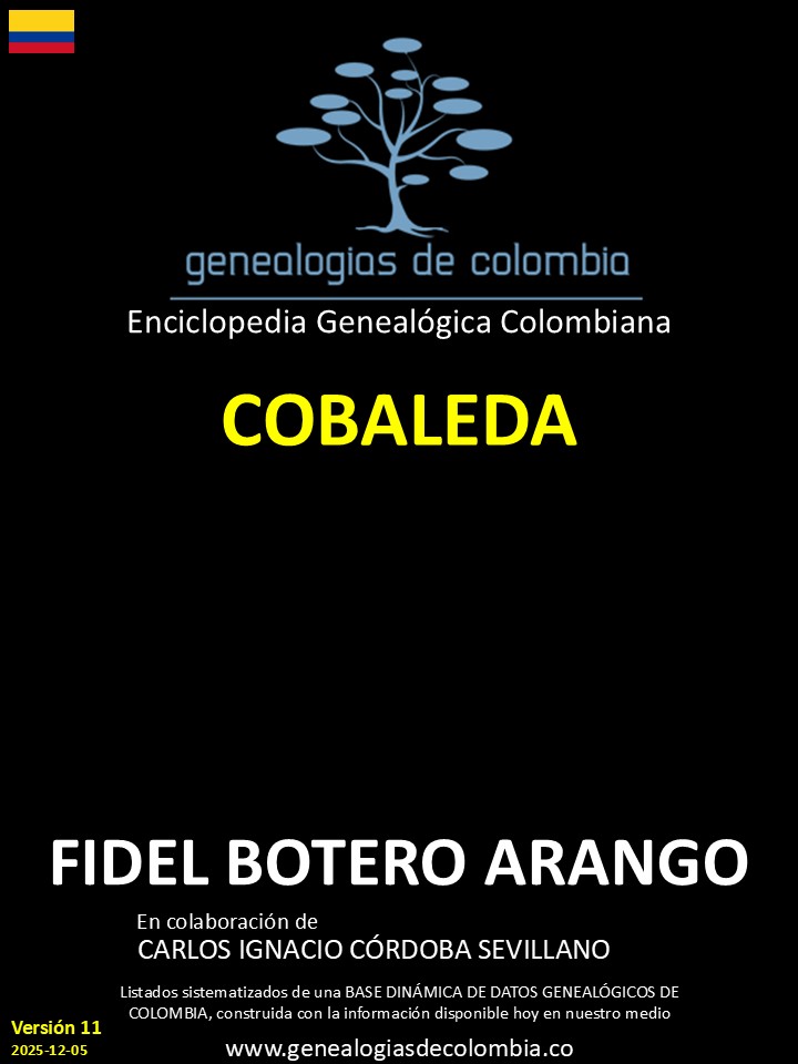 Product Image Description