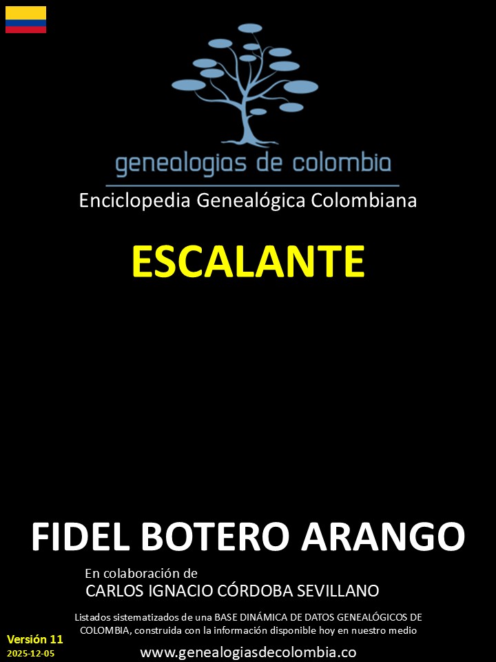 Product Image Description