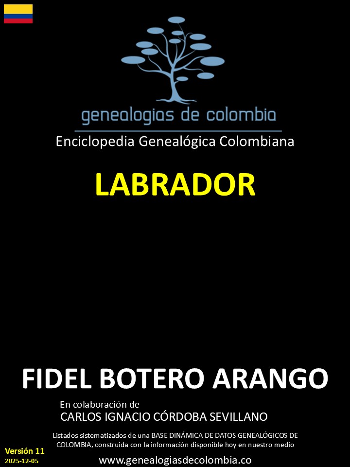 Product Image Description