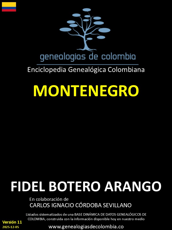 Product Image Description