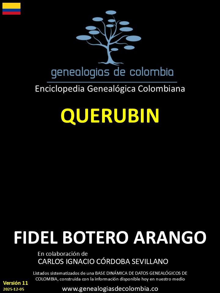 Product Image Description