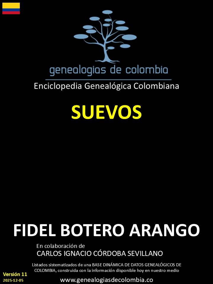 Product Image Description