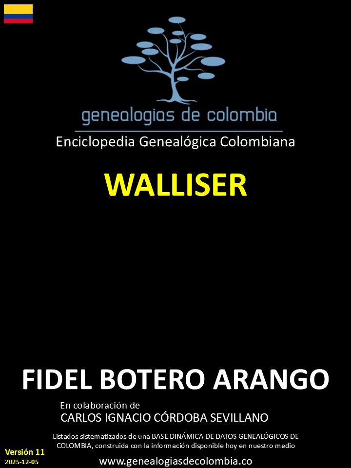 Product Image Description