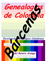 Product Image Description