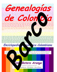 Product Image Description