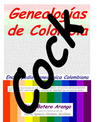 Product Image Description