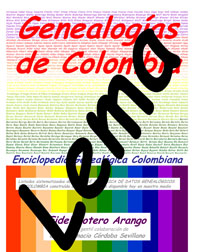 Product Image Description
