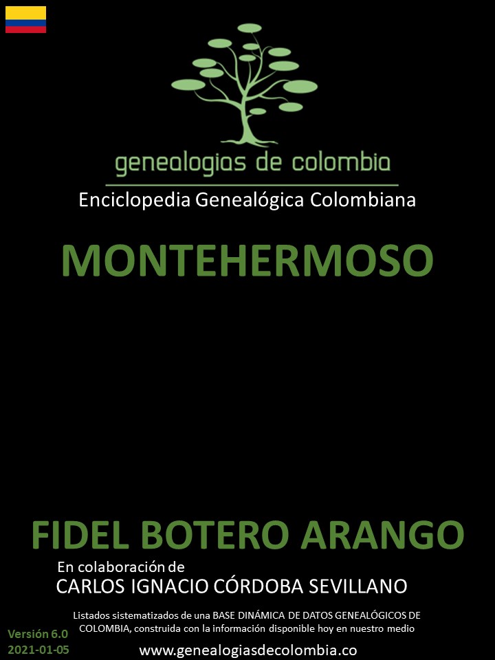 Product Image Description