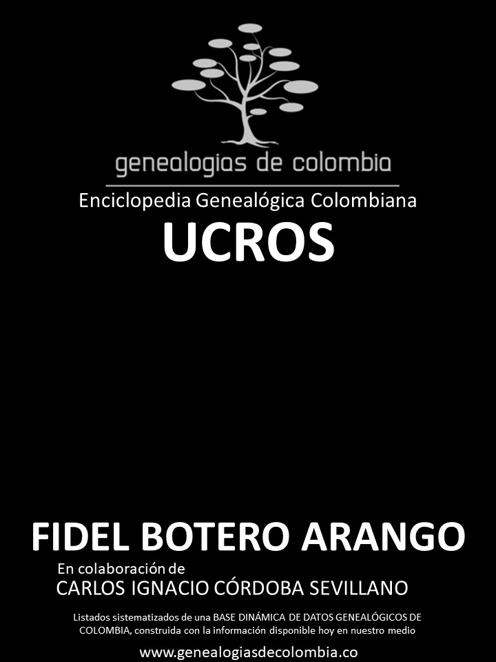 Product Image Description